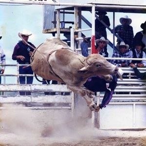 Meet your Posher, Cory